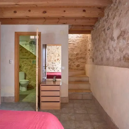 Lily's House פדרגר