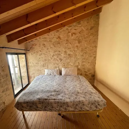 Lily's House *